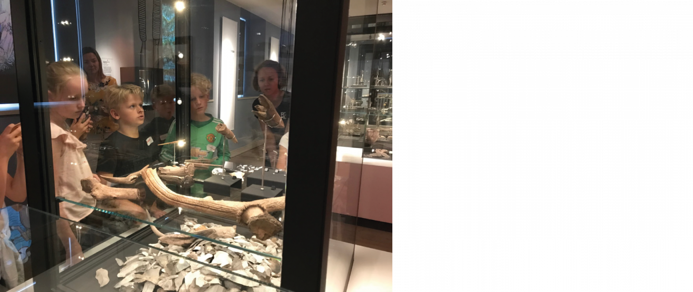 Genstandsbaseret historieundervisning CFU Absalon